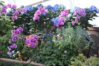 184 Garden by the Bay Flower Dome &ndash; &copy; Maria Schneider (Eberhardt TRAVEL)