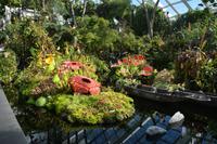 190 Garden by the Bay Cloud Dome &ndash; &copy; Maria Schneider (Eberhardt TRAVEL)