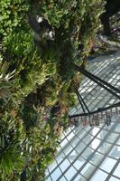 191 Garden by the Bay Cloud Dome &ndash; &copy; Maria Schneider (Eberhardt TRAVEL)