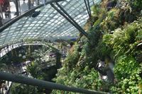 192 Garden by the Bay Cloud Dome &ndash; &copy; Maria Schneider (Eberhardt TRAVEL)