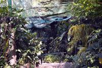 432 Schmetterlingspark Kuala Lumpur &ndash; &copy; Maria Schneider (Eberhardt TRAVEL)