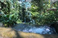 440 Schmetterlingspark Kuala Lumpur &ndash; &copy; Maria Schneider (Eberhardt TRAVEL)