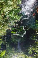 443 Schmetterlingspark Kuala Lumpur &ndash; &copy; Maria Schneider (Eberhardt TRAVEL)