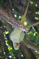 455 Vogelpark Kuala Lumpur &ndash; &copy; Maria Schneider (Eberhardt TRAVEL)