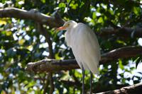 456 Vogelpark Kuala Lumpur &ndash; &copy; Maria Schneider (Eberhardt TRAVEL)