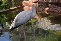 458 Vogelpark Kuala Lumpur &ndash; &copy; Maria Schneider (Eberhardt TRAVEL)