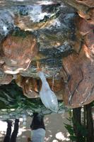 459 Vogelpark Kuala Lumpur &ndash; &copy; Maria Schneider (Eberhardt TRAVEL)
