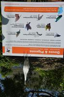 460 Vogelpark Kuala Lumpur &ndash; &copy; Maria Schneider (Eberhardt TRAVEL)