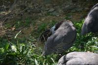 461 Vogelpark Kuala Lumpur &ndash; &copy; Maria Schneider (Eberhardt TRAVEL)
