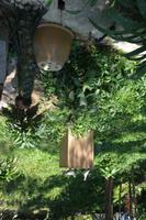 462 Vogelpark Kuala Lumpur &ndash; &copy; Maria Schneider (Eberhardt TRAVEL)