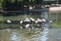 463 Vogelpark Kuala Lumpur &ndash; &copy; Maria Schneider (Eberhardt TRAVEL)