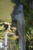 478 Vogelpark Kuala Lumpur &ndash; &copy; Maria Schneider (Eberhardt TRAVEL)