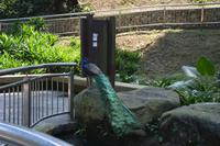 481 Vogelpark Kuala Lumpur &ndash; &copy; Maria Schneider (Eberhardt TRAVEL)