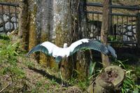 482 Vogelpark Kuala Lumpur &ndash; &copy; Maria Schneider (Eberhardt TRAVEL)