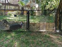 Vogelpark Kuala Lumpur Malaysia &ndash; &copy; Philip Seidel (Eberhardt TRAVEL)