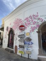 Panarea