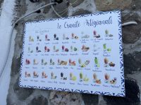 Granita in Panarea  &ndash; &copy; Patrick Fritzsche (Eberhardt TRAVEL)