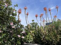 Stopp in Ginostra &ndash; &copy; Patrick Fritzsche (Eberhardt TRAVEL)