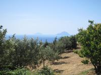 Auf Lipari - an Olivenhainen und Obstplantagen entlang &ndash; &copy; Anne Sturm (Eberhardt TRAVEL)