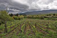 Randazzo &ndash; &copy; Lars Dittrich (Eberhardt TRAVEL)