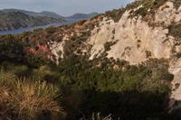 Aufstieg zum Vulcanello - Das Kind des Vulcano &ndash; &copy; Martin Büchner (Eberhardt TRAVEL)