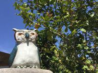 Wanderung Lipari &ndash; &copy; Patrick Fritzsche (Eberhardt TRAVEL)