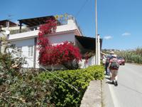 Lipari &ndash; &copy; Ingrid Langer (Eberhardt TRAVEL)