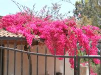 Lipari &ndash; &copy; Ingrid Langer (Eberhardt TRAVEL)