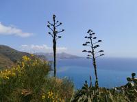Lipari &ndash; &copy; Ingrid Langer (Eberhardt TRAVEL)