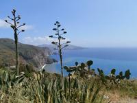 Lipari &ndash; &copy; Ingrid Langer (Eberhardt TRAVEL)