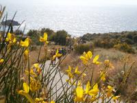 Lipari &ndash; &copy; Ingrid Langer (Eberhardt TRAVEL)