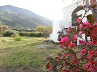 Stromboli-Zitronen &ndash; &copy; Ingrid Langer (Eberhardt TRAVEL)
