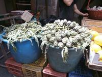 Catania-Artischocken &ndash; &copy; Ingrid Langer (Eberhardt TRAVEL)