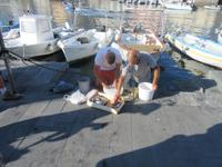 Vorbereitung der Tintenfischköder im Hafen von Lipari &ndash; &copy; Dominik Zilliken (Eberhardt TRAVEL)