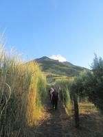 Auf dem Weg zur Sciara del Fuoco &ndash; &copy; Dominik Zilliken (Eberhardt TRAVEL)