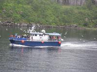 im Trollfjord &ndash; &copy; Ingrid Langer (Eberhardt TRAVEL)