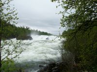 Malselvfossen &ndash; &copy; Steffen Mucke (Eberhardt TRAVEL)