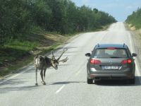 ...lasst mich doch in Ruhe... &ndash; &copy; Heike Heinen (Eberhardt TRAVEL)