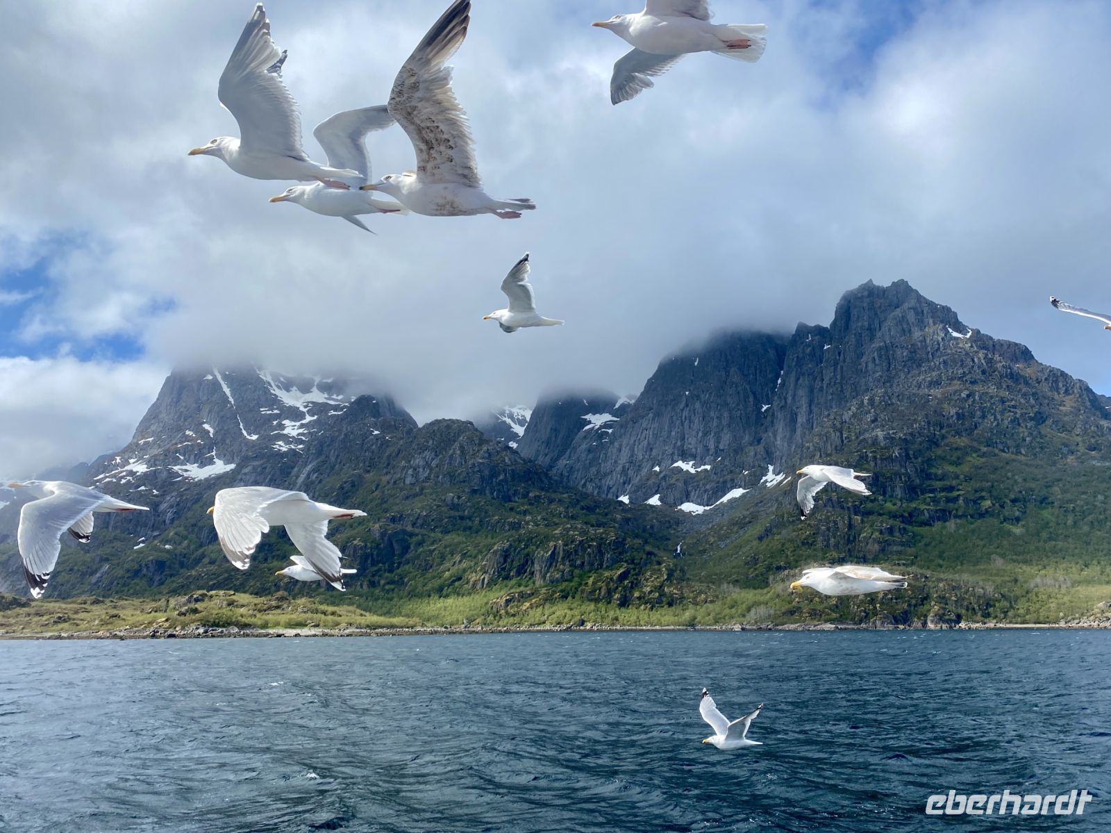 Tag 9 - Möwen  &ndash; &copy; Christin Kuschka (Eberhardt TRAVEL)