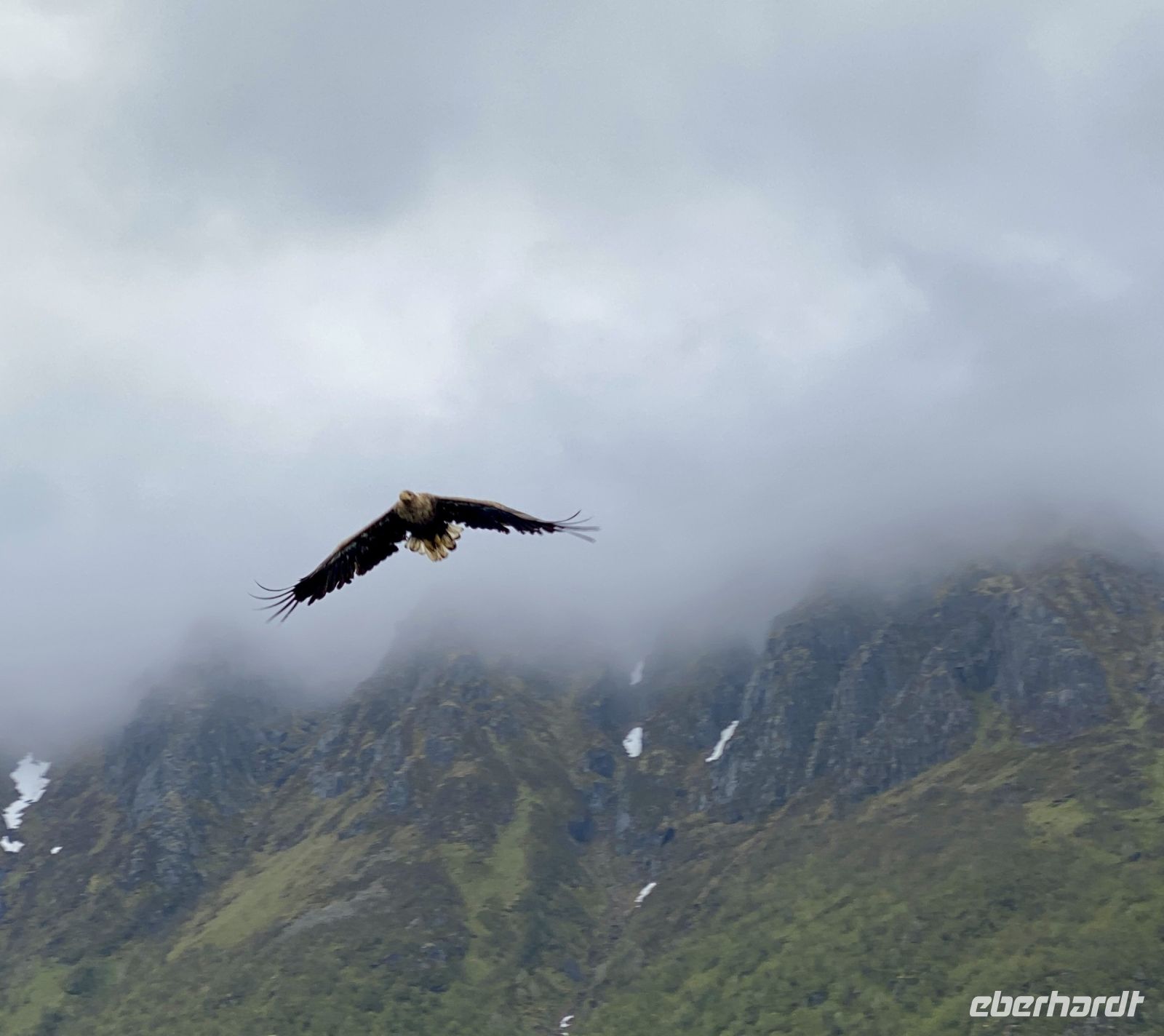 Tag 9 - Seeadler &ndash; &copy; Christin Kuschka (Eberhardt TRAVEL)