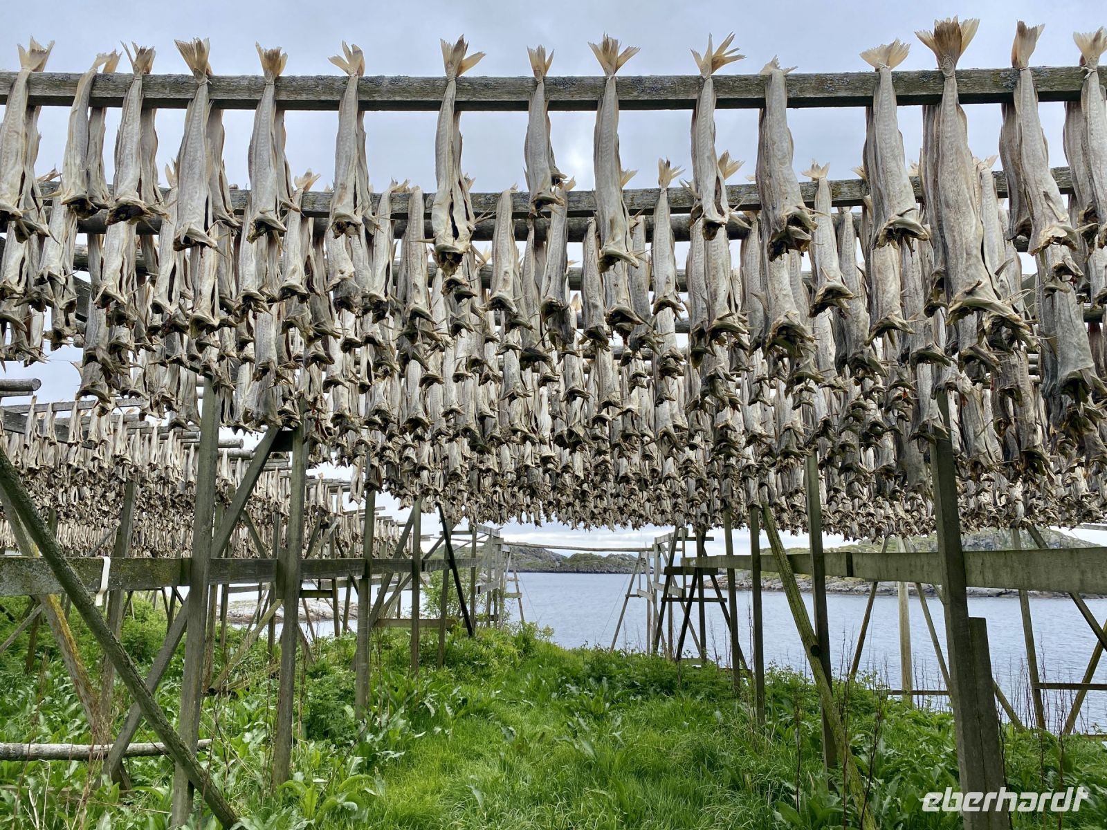 Tag 10 - Stockfisch  &ndash; &copy; Christin Kuschka (Eberhardt TRAVEL)