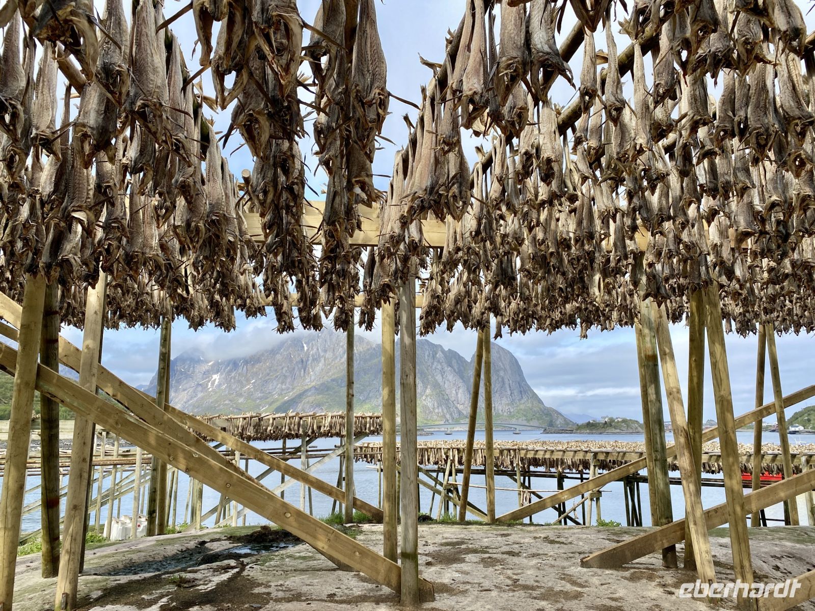 Tag 10 - Stockfisch  &ndash; &copy; Christin Kuschka (Eberhardt TRAVEL)