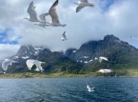 Tag 9 - Möwen  &ndash; &copy; Christin Kuschka (Eberhardt TRAVEL)