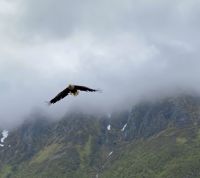 Tag 9 - Seeadler &ndash; &copy; Christin Kuschka (Eberhardt TRAVEL)