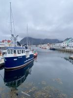Tag 10 - Henningsvær  &ndash; &copy; Christin Kuschka (Eberhardt TRAVEL)