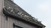 20260615_11 neue Mieter.jpg &ndash; &copy; Michael Rass (Eberhardt TRAVEL)