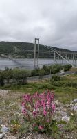 20260617_9 Tjeldsundbrücke.jpg &ndash; &copy; Michael Rass (Eberhardt TRAVEL)