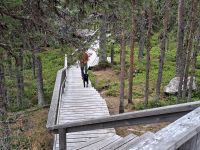 Finnisch Lappland, Bärenhöhle &ndash; &copy; Karsten Fischer (Eberhardt TRAVEL)