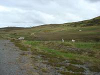 DSC04750 &ndash; &copy; Mandy Fischer (Eberhardt TRAVEL)