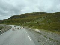 DSC04757 &ndash; &copy; Mandy Fischer (Eberhardt TRAVEL)